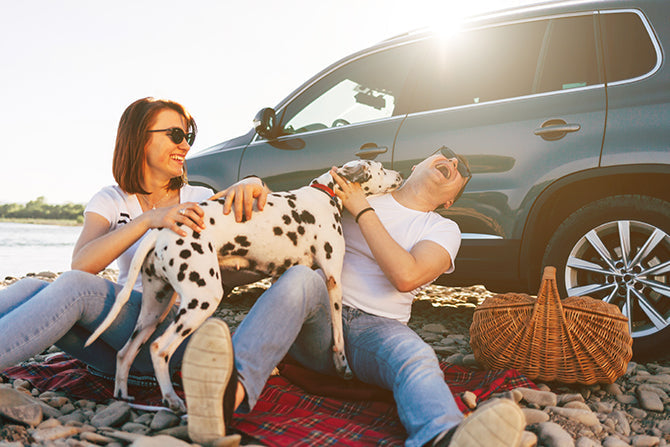 Reif für Ferien: Urlaub mit dem Hund – geht das?