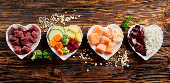 Barfen für Anfänger: Grundlagen dieser Ernährungsform