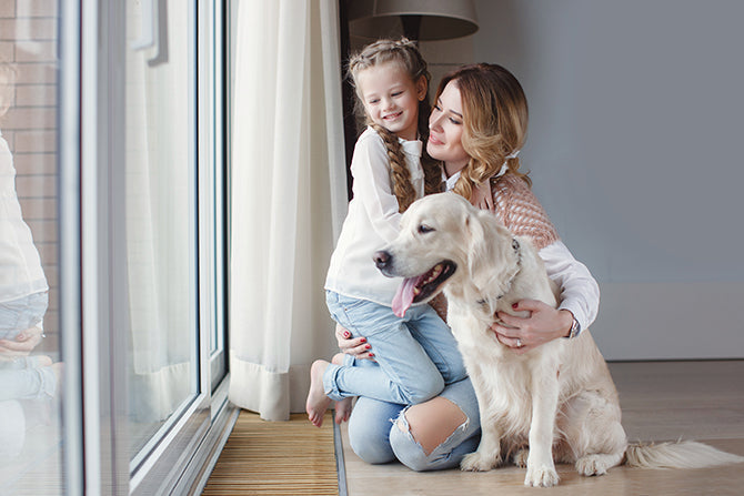 Hilfe in der Not: Wie kommt ein Pflegehund zur Pflegestelle?