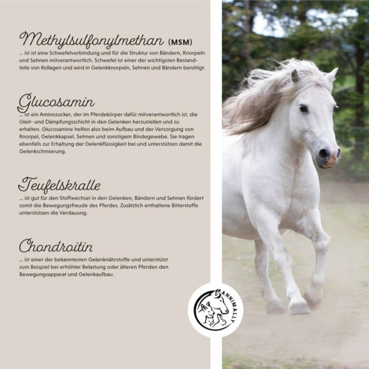 11509-K – Bild 1