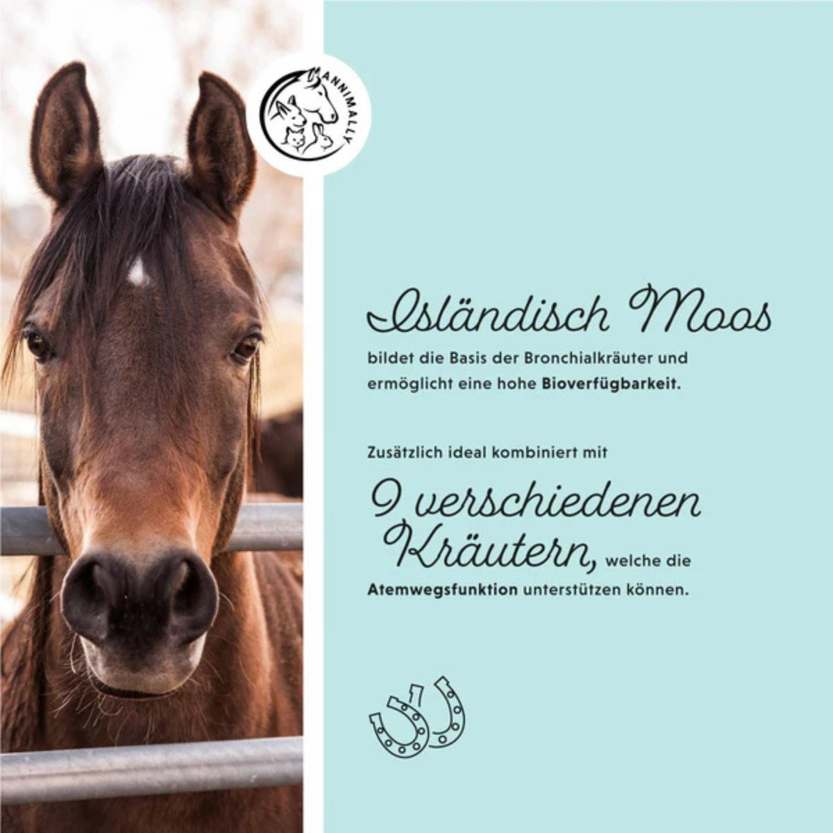 11513-K – Bild 1
