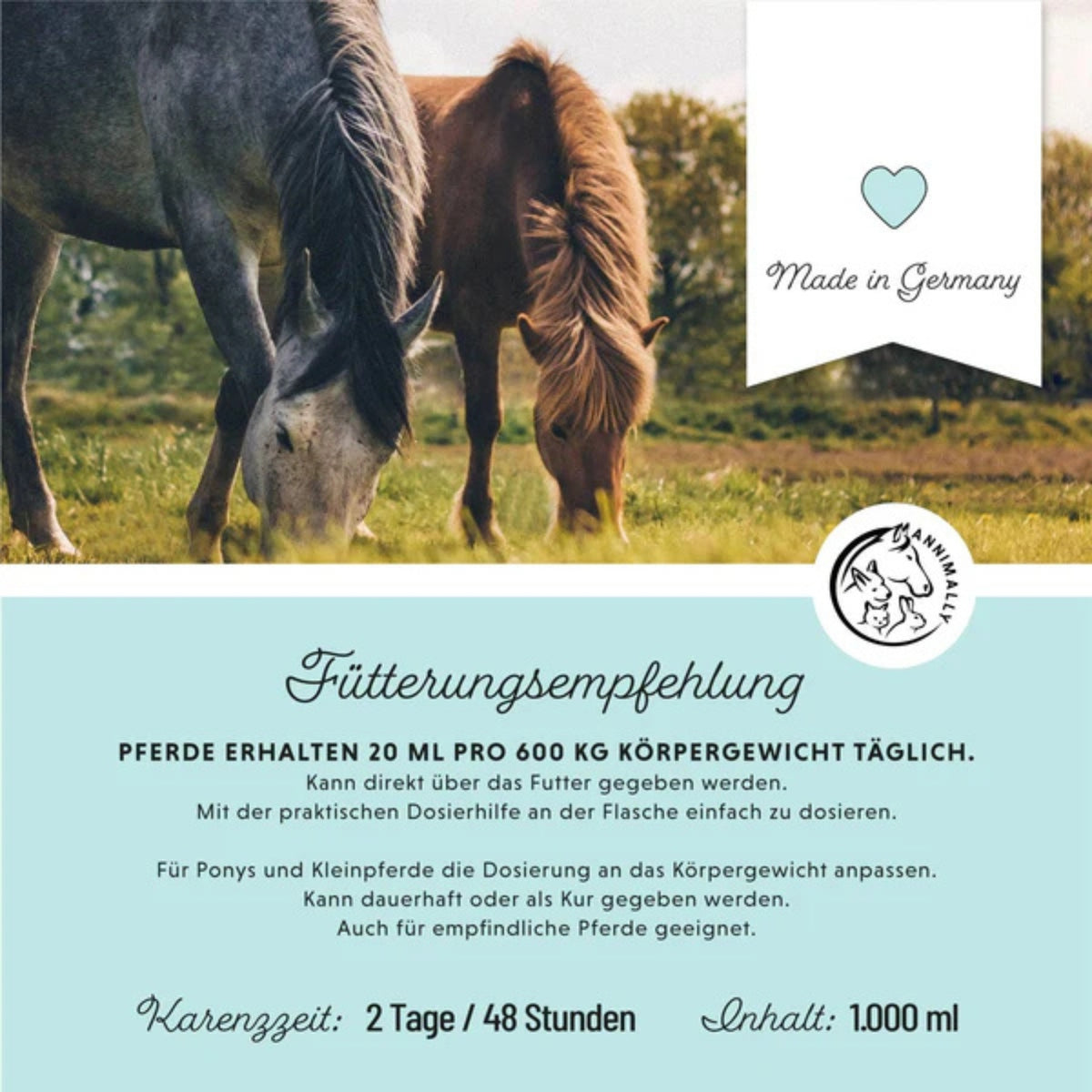 11513-K – Bild 3