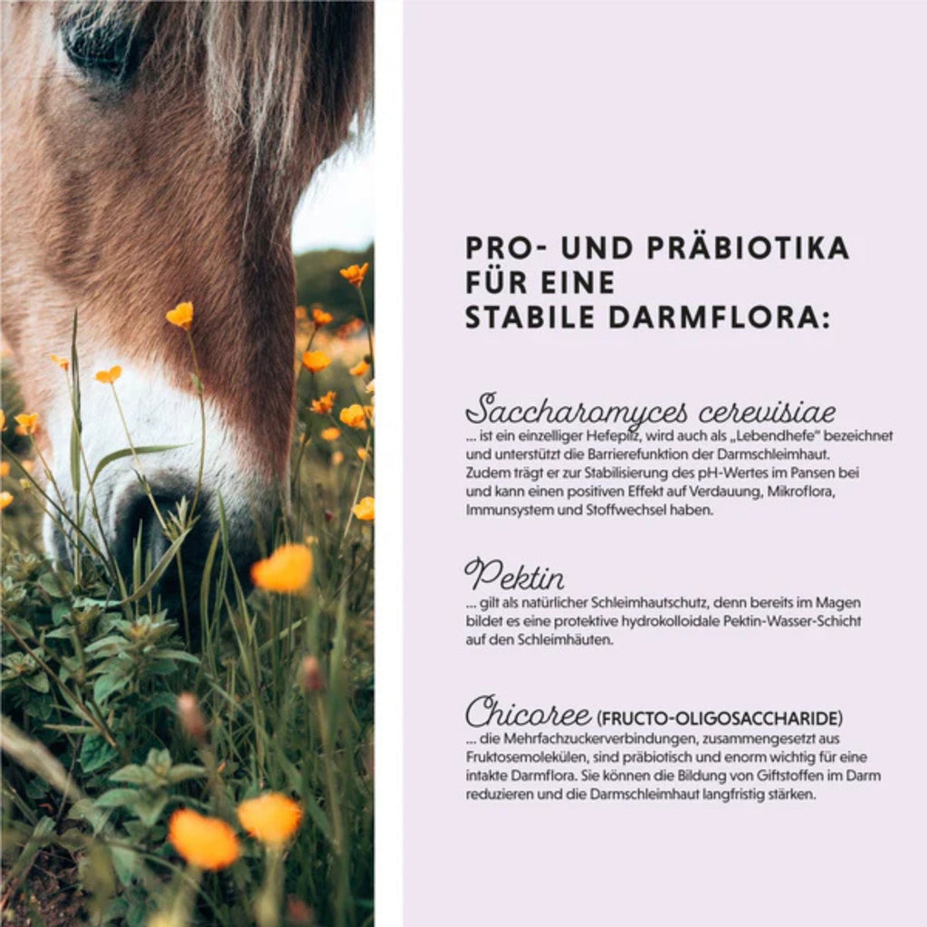 11514-K – Bild 1