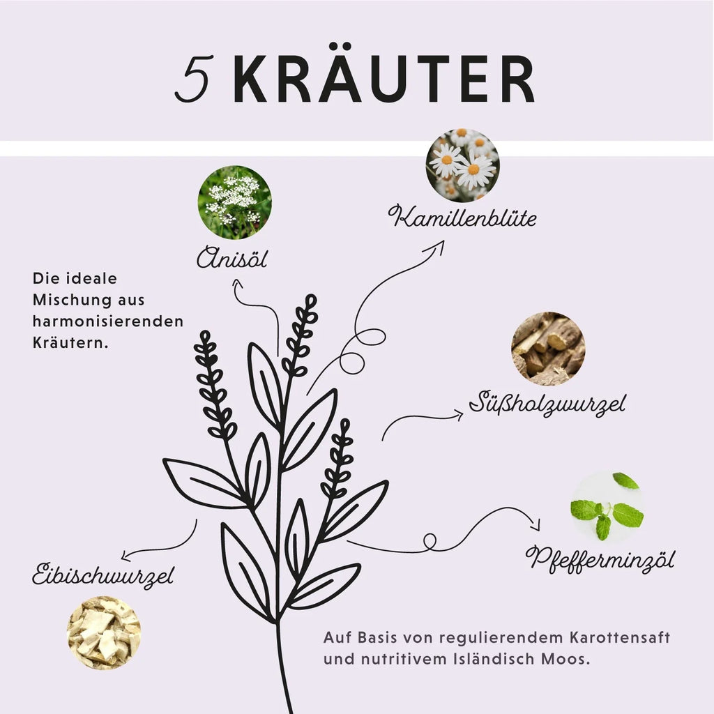 11518-K – Bild 1