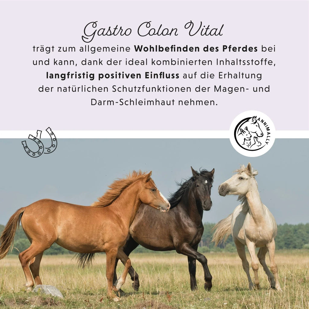 11518-K – Bild 2