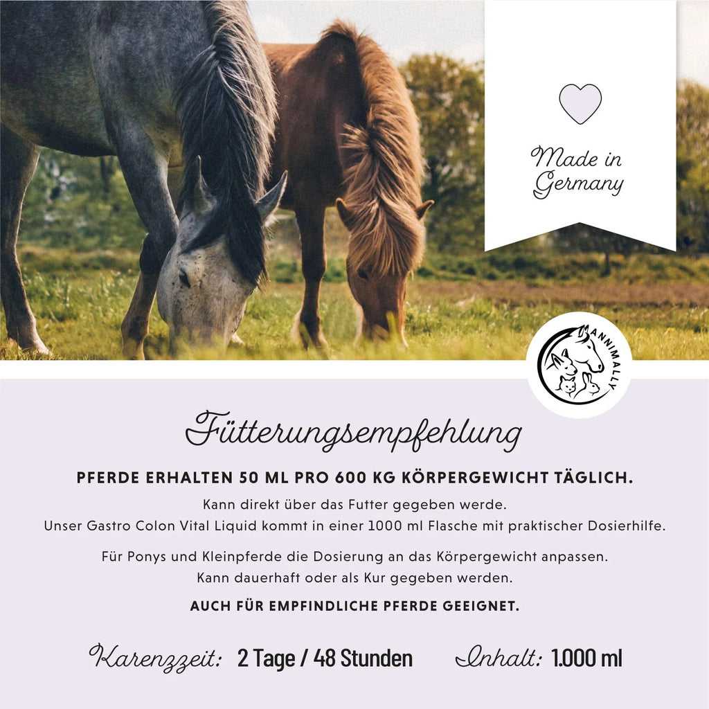 11518-K – Bild 3