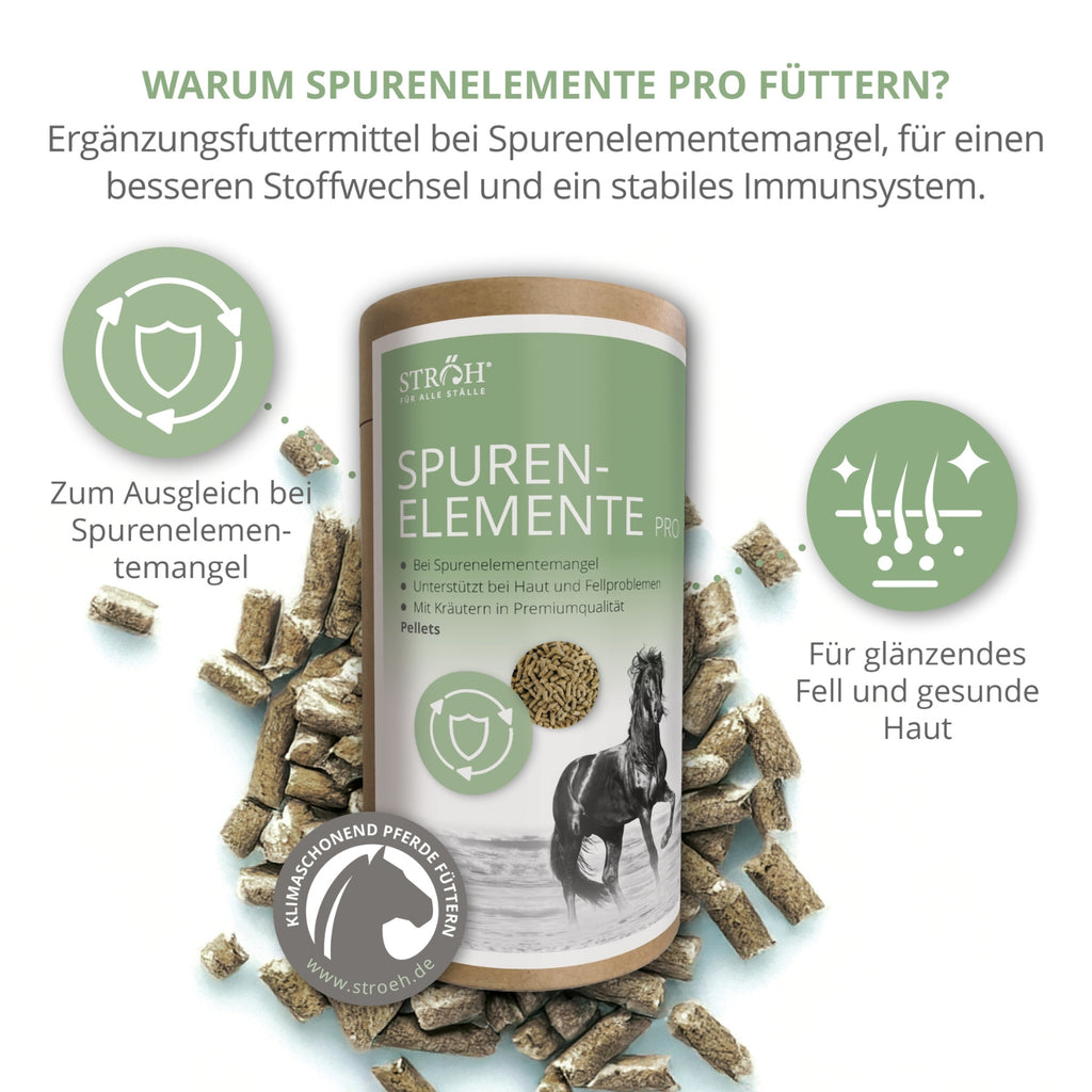 STRÖH Spurenelemente Pro Pellets für Pferde 1,2kg Feedbox Dose MHD 01.01.2027