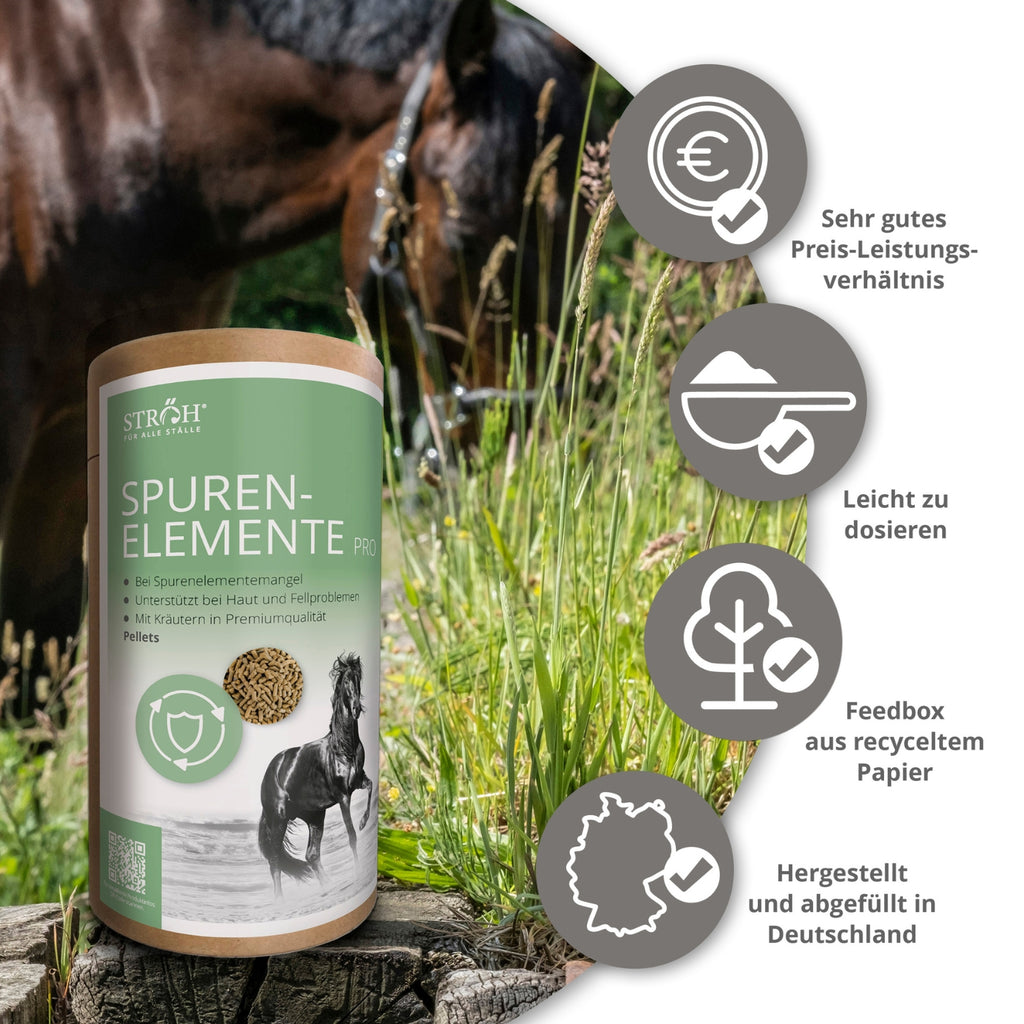 STRÖH Spurenelemente Pro Pellets für Pferde 1,2kg Feedbox Dose MHD 01.01.2027