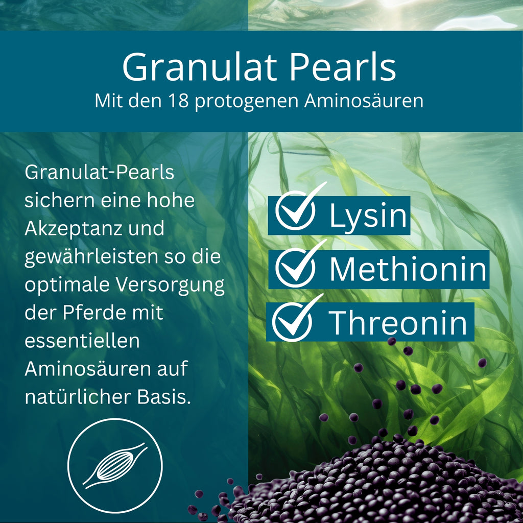 Equidocs MyoCheval Muskelaufbau Pearls für Pferde 1500g B-WARE