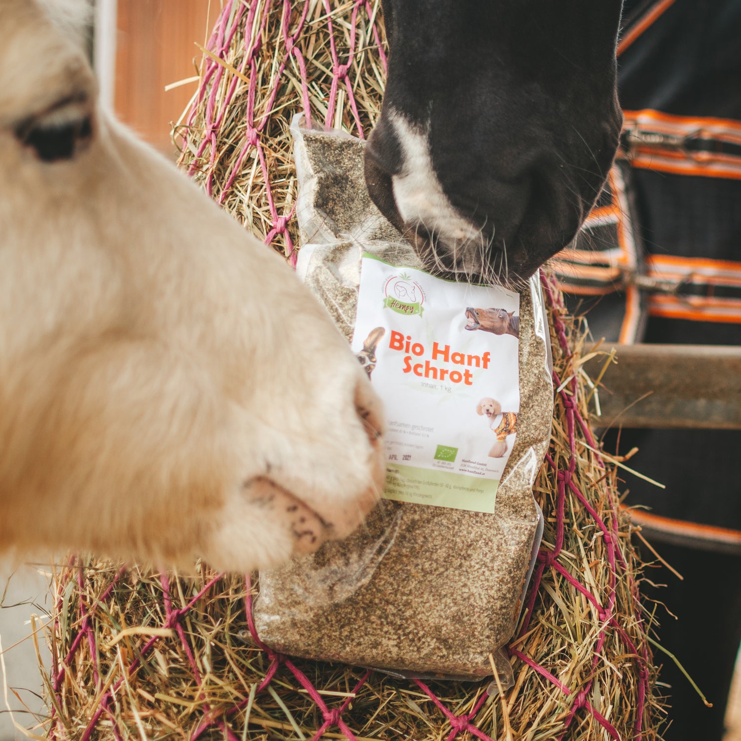 Hempy Bio Hanfschrot 1000g