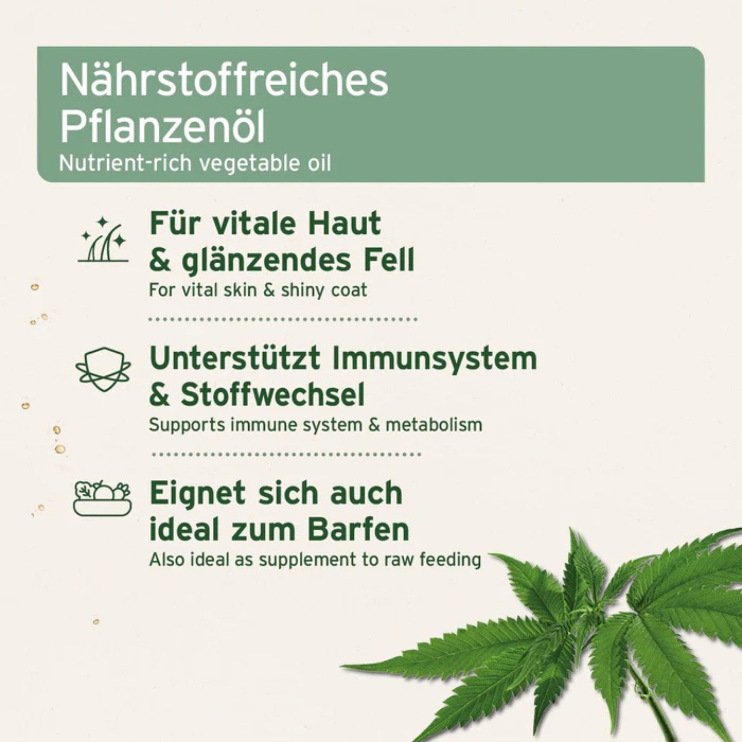 1698AFH – Bild 1