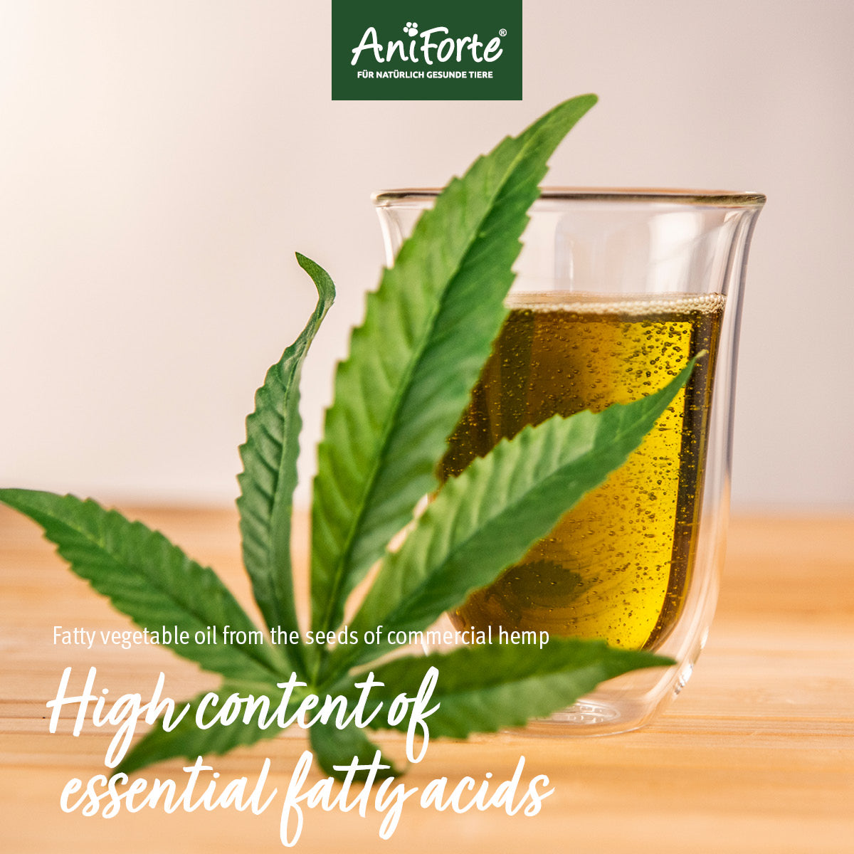AniForte Bio Hanföl 500ml