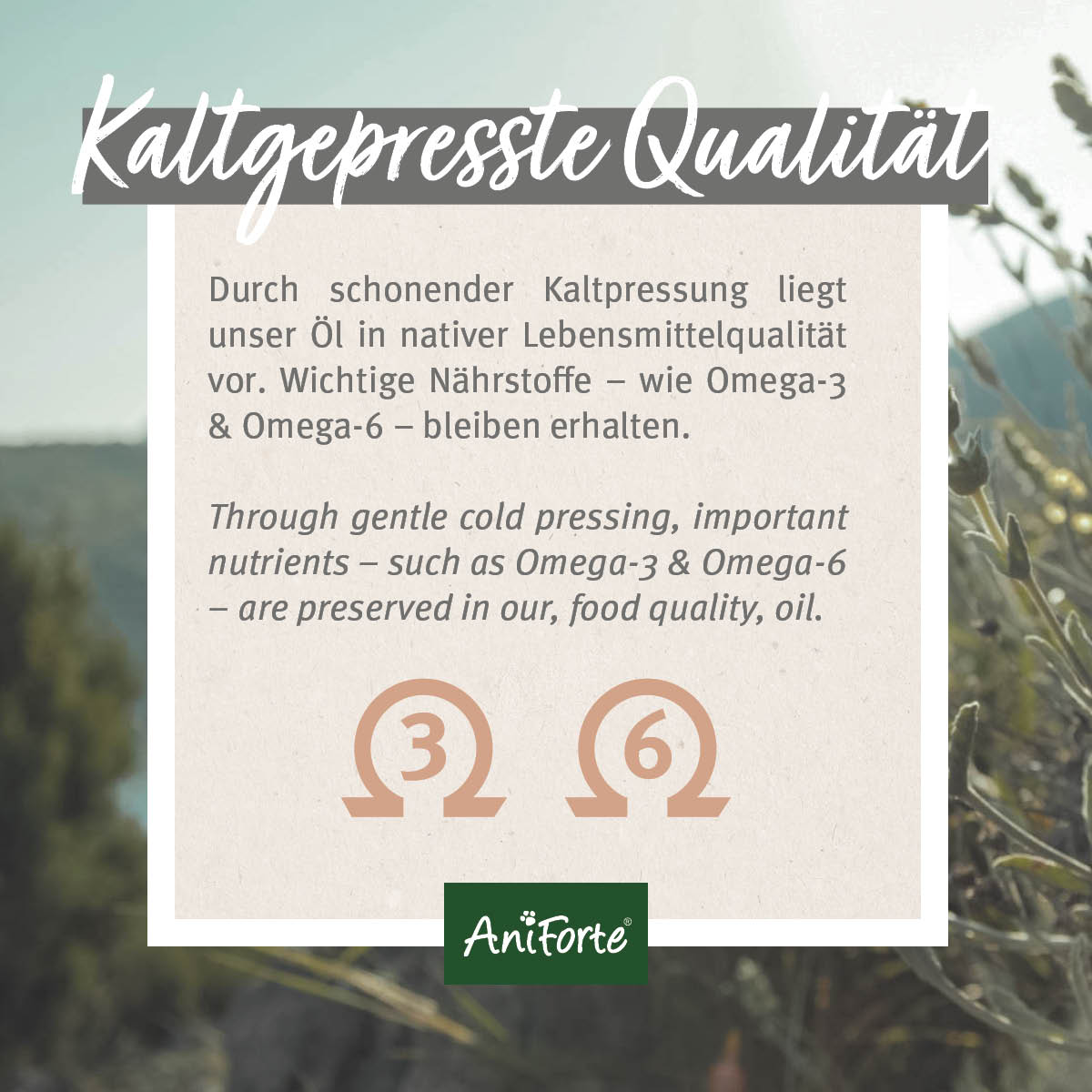 AniForte Leinöl 1000ml