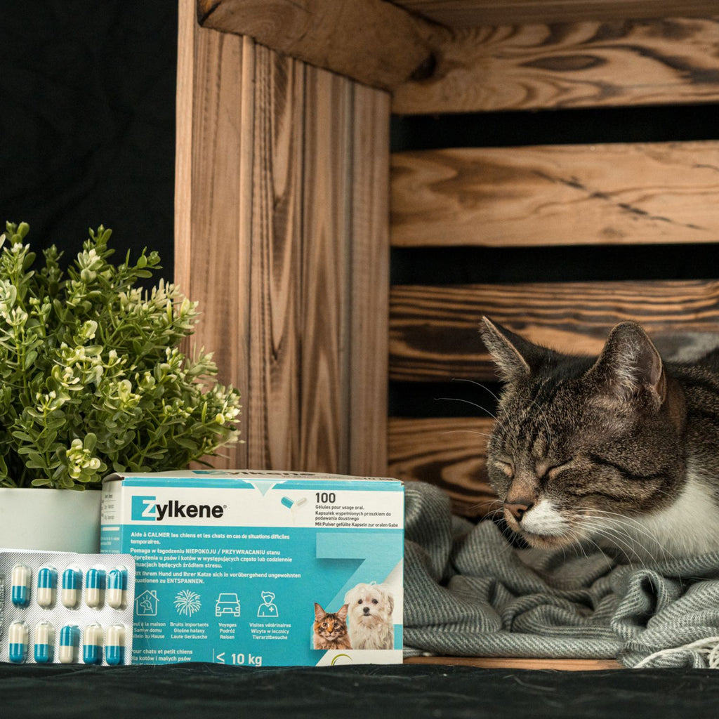 Zylkene 75mg 10 x 10 Stück