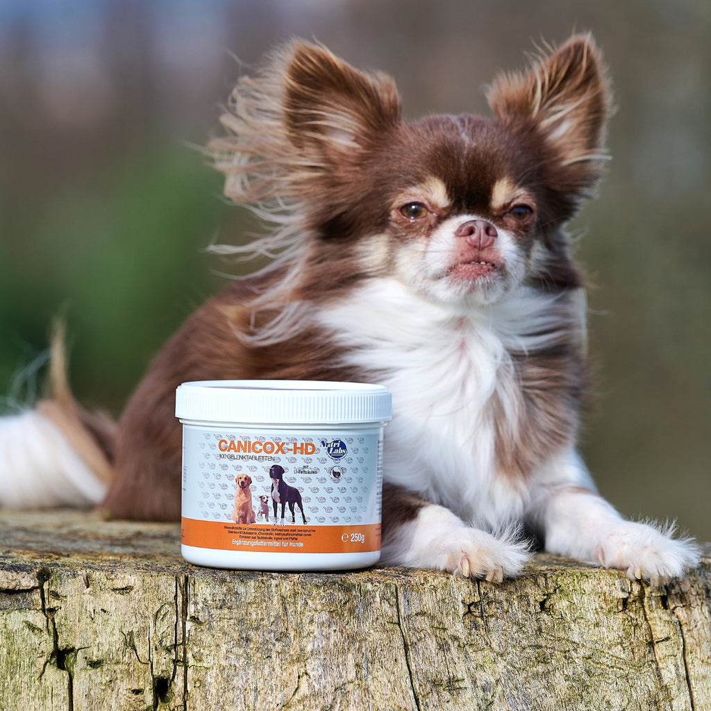 Canicox-HD 100 Kautabletten