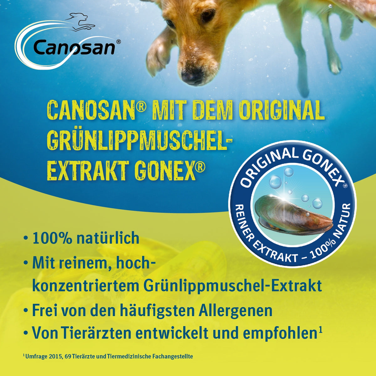 3087BIC – Bild 2