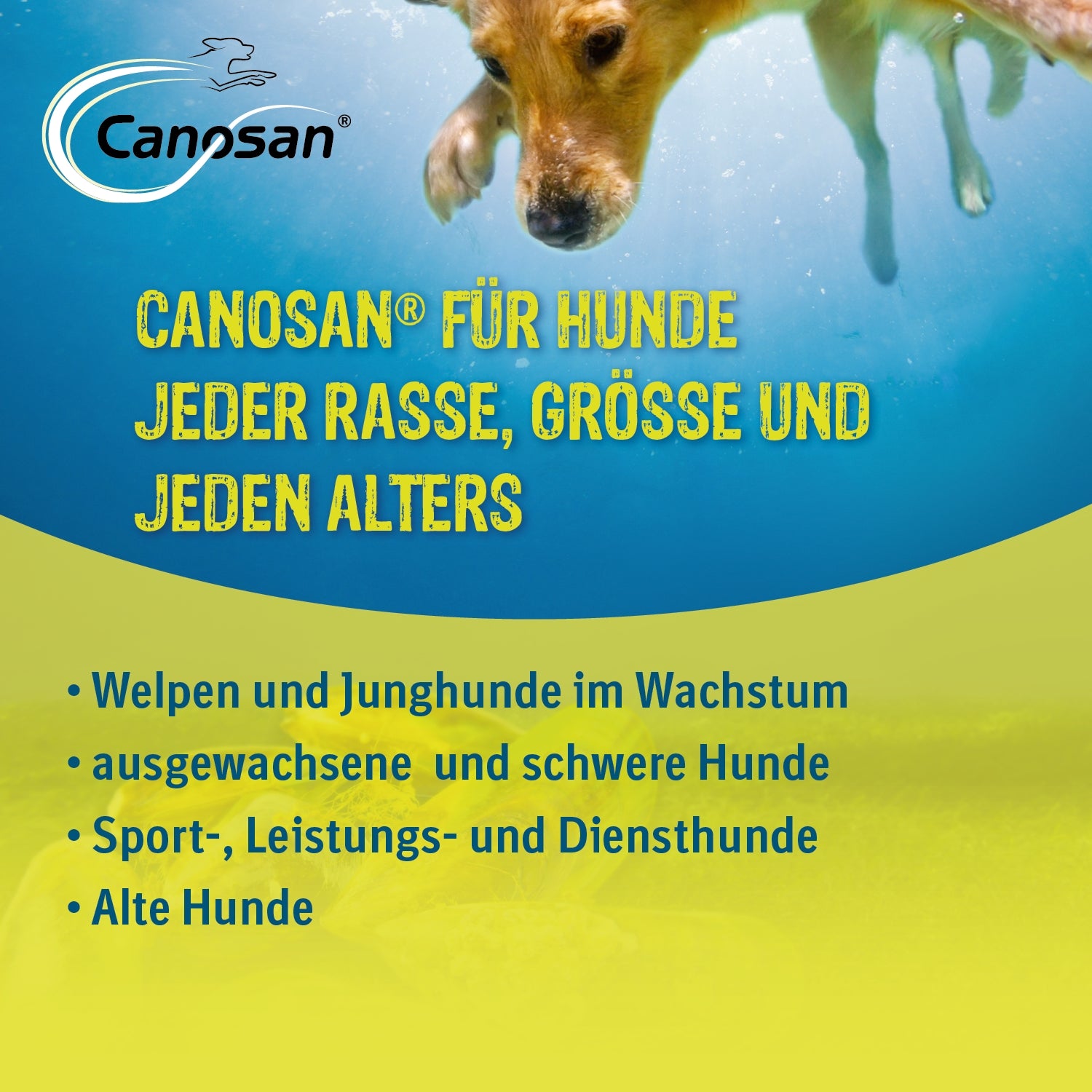 Canosan Kautabletten für Hunde 30 Stk.
