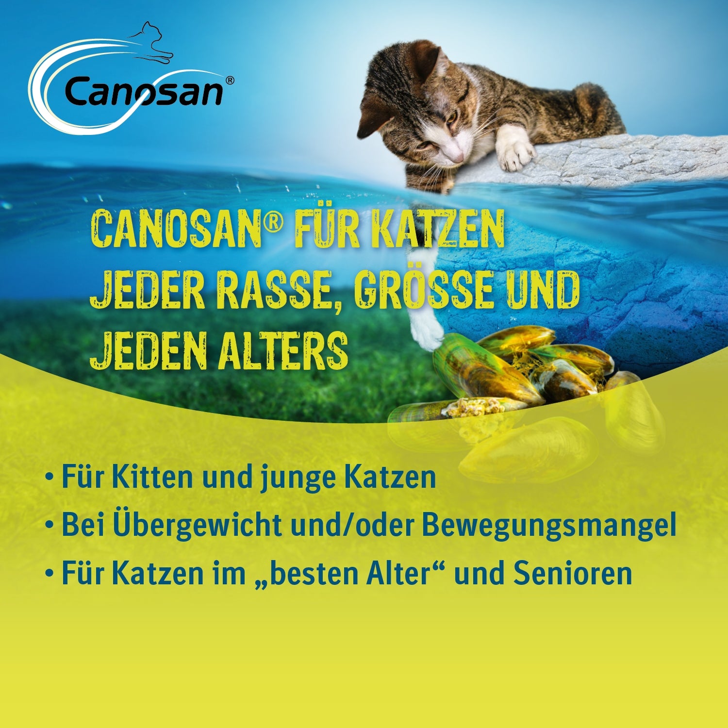 Canosan Kautabletten für Katzen 30 Stk.