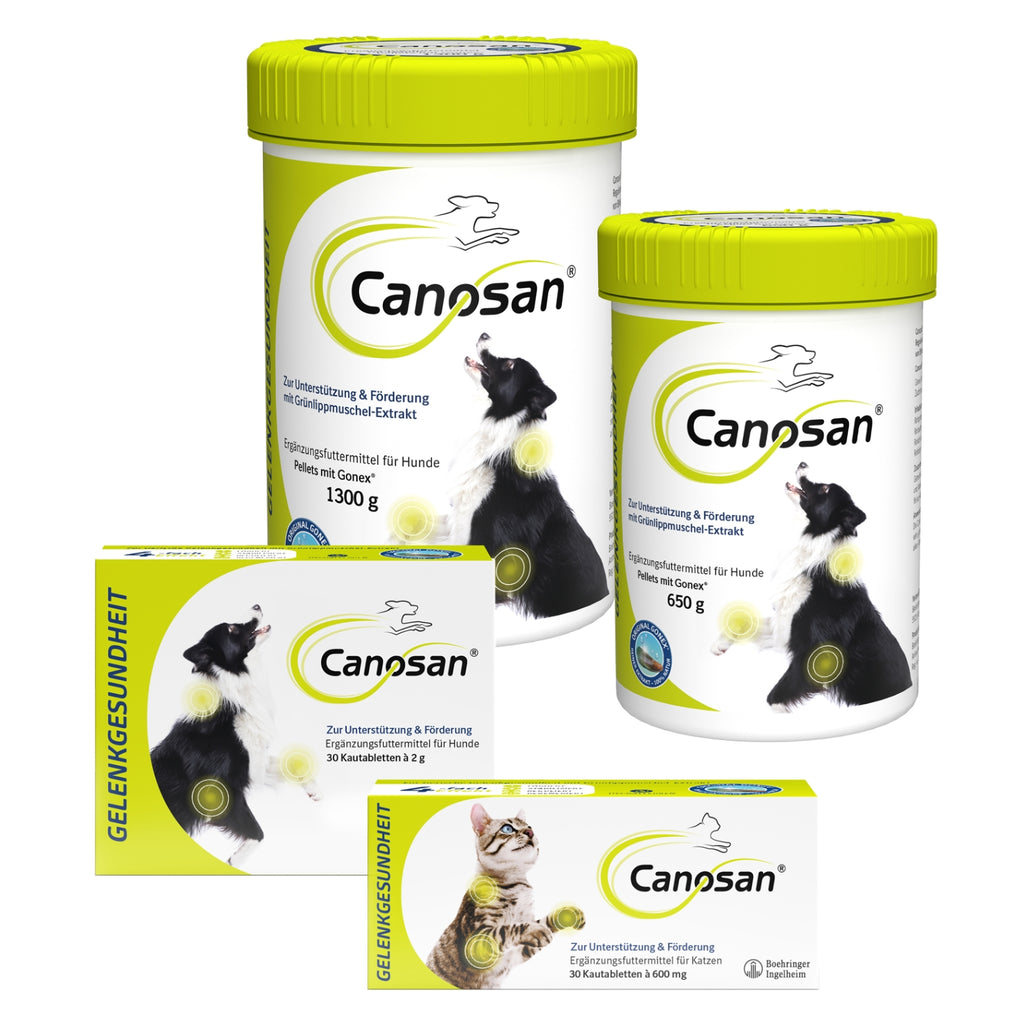 Canosan Kautabletten für Katzen 30 Stk.