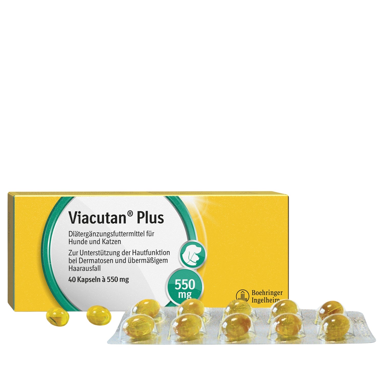 Viacutan Plus Kaps. 550 mg 40 Stk.