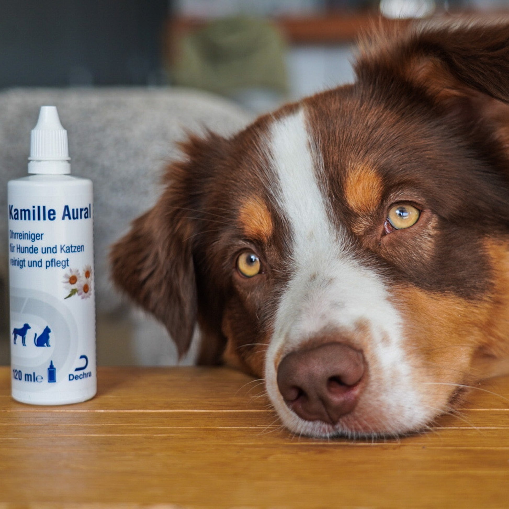 Kamille Aural Ohrreiniger 120 ml