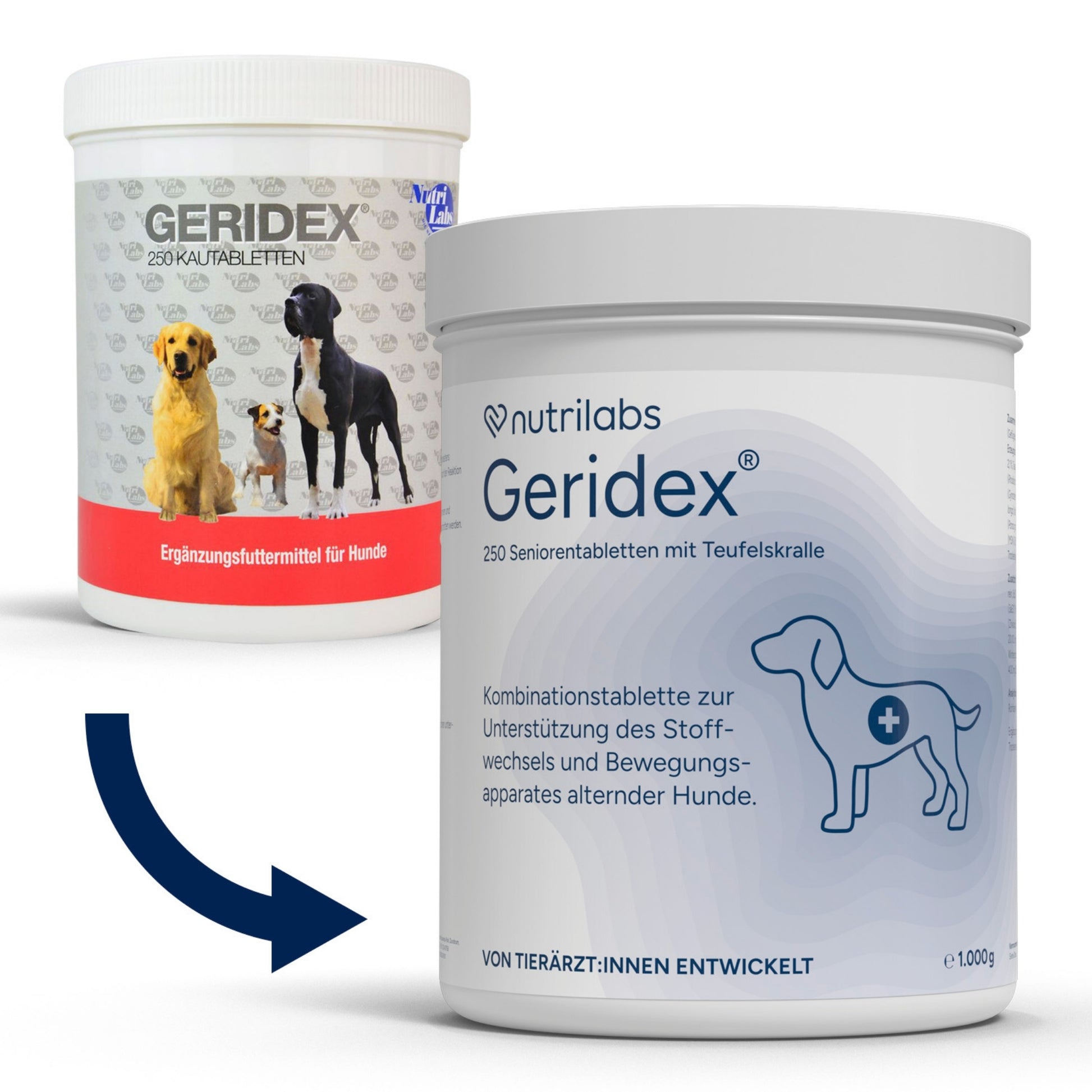 Geridex 250 Kautabletten für Hundesenioren