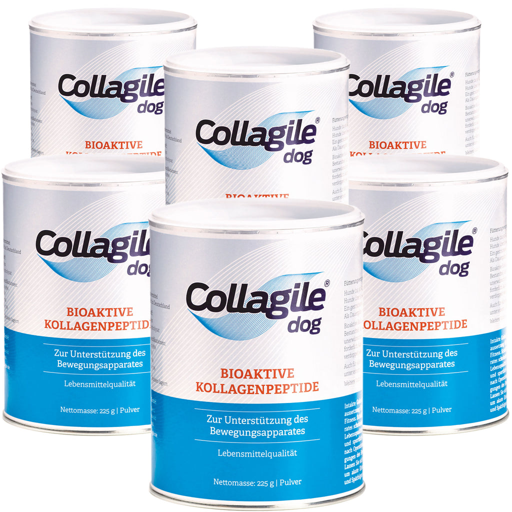 Collagile Dog 225g 6er Pack