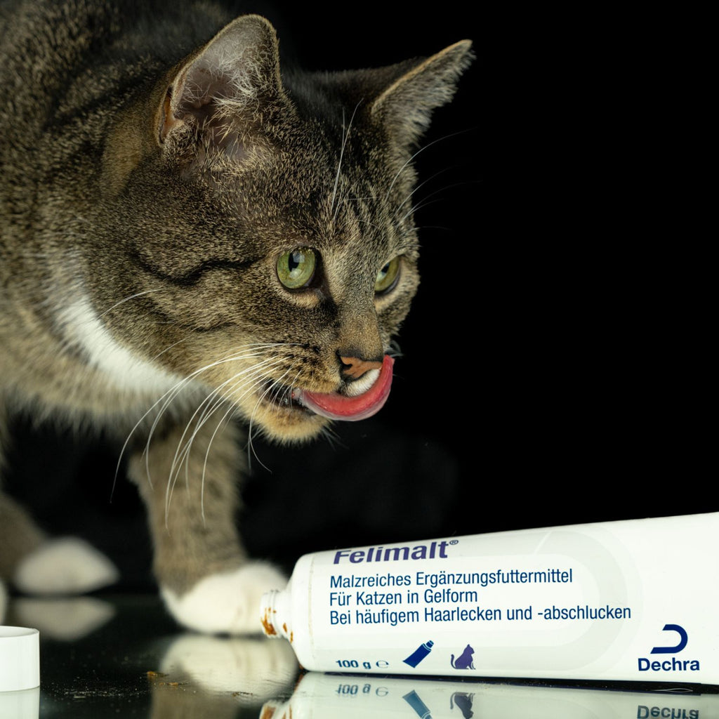 Felimalt für Katzen 100g