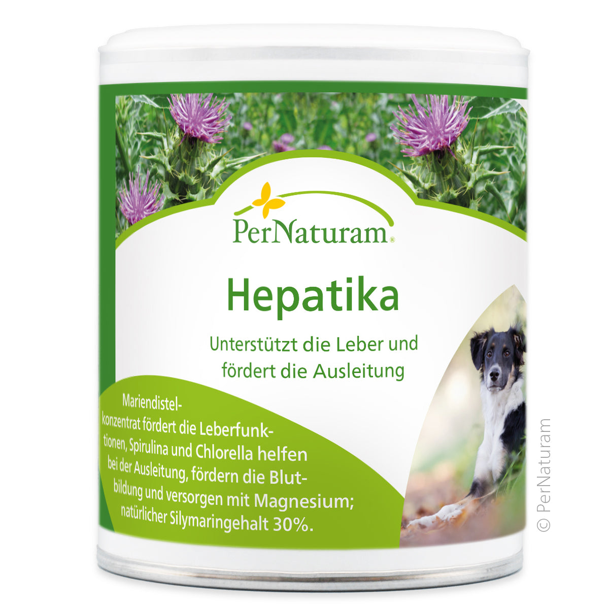 PerNaturam Hepatika 100g