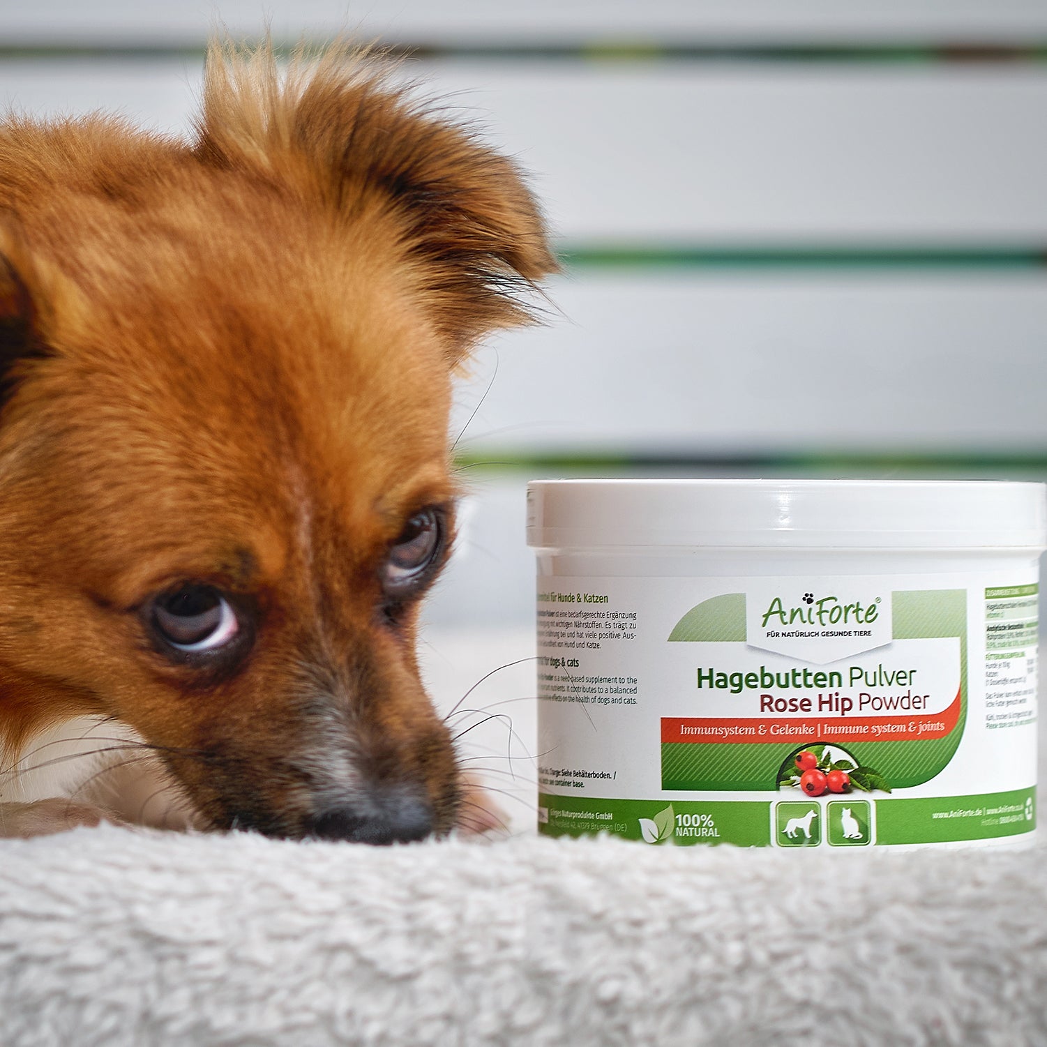 AniForte Hagebutten Pulver 250g