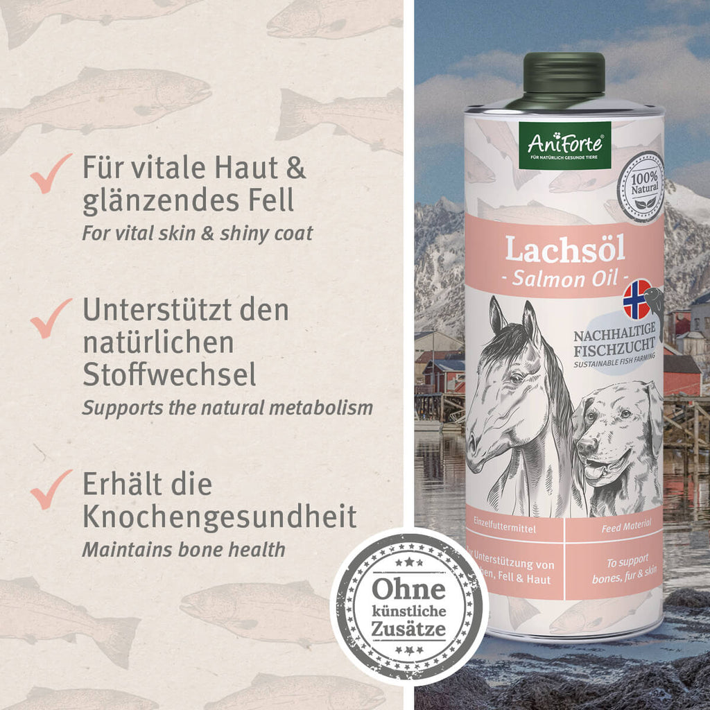 33167AFL – Bild 1