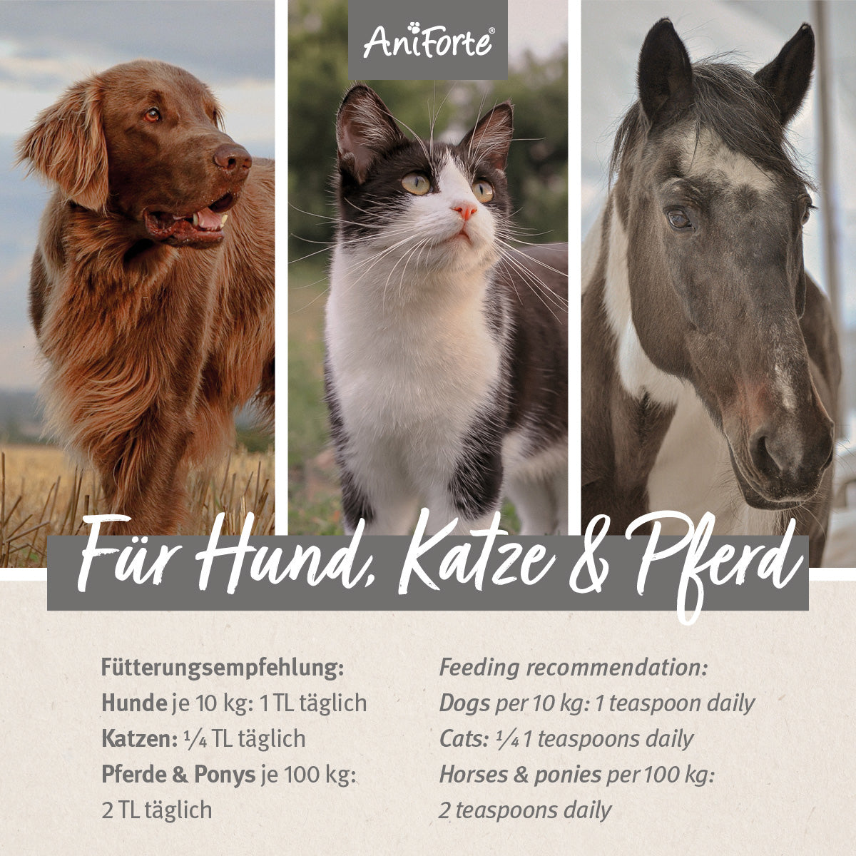 33168AFL – Bild 2
