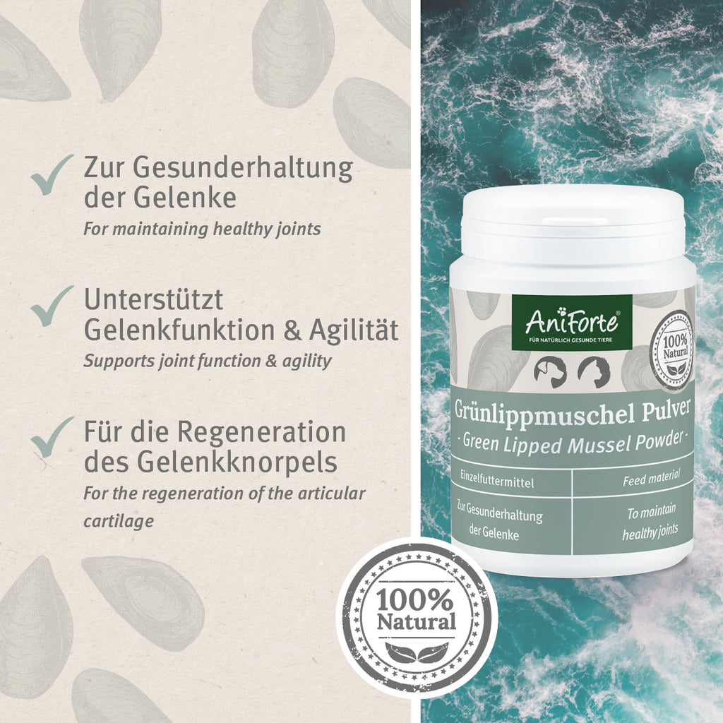 33169AFG – Bild 1