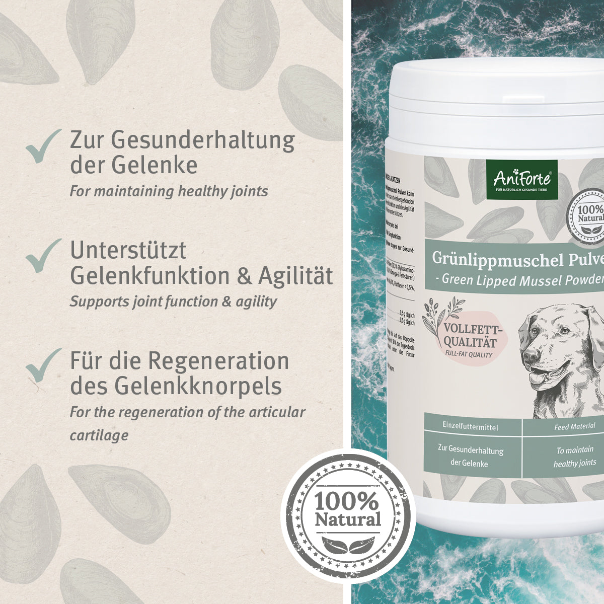 AniForte Grünlippmuschel Pulver 500g