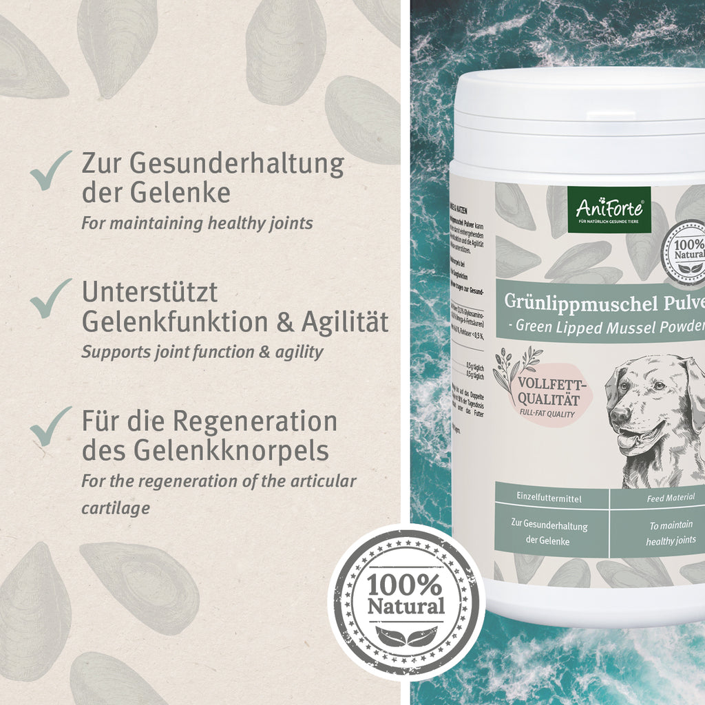 33170AFG – Bild 1