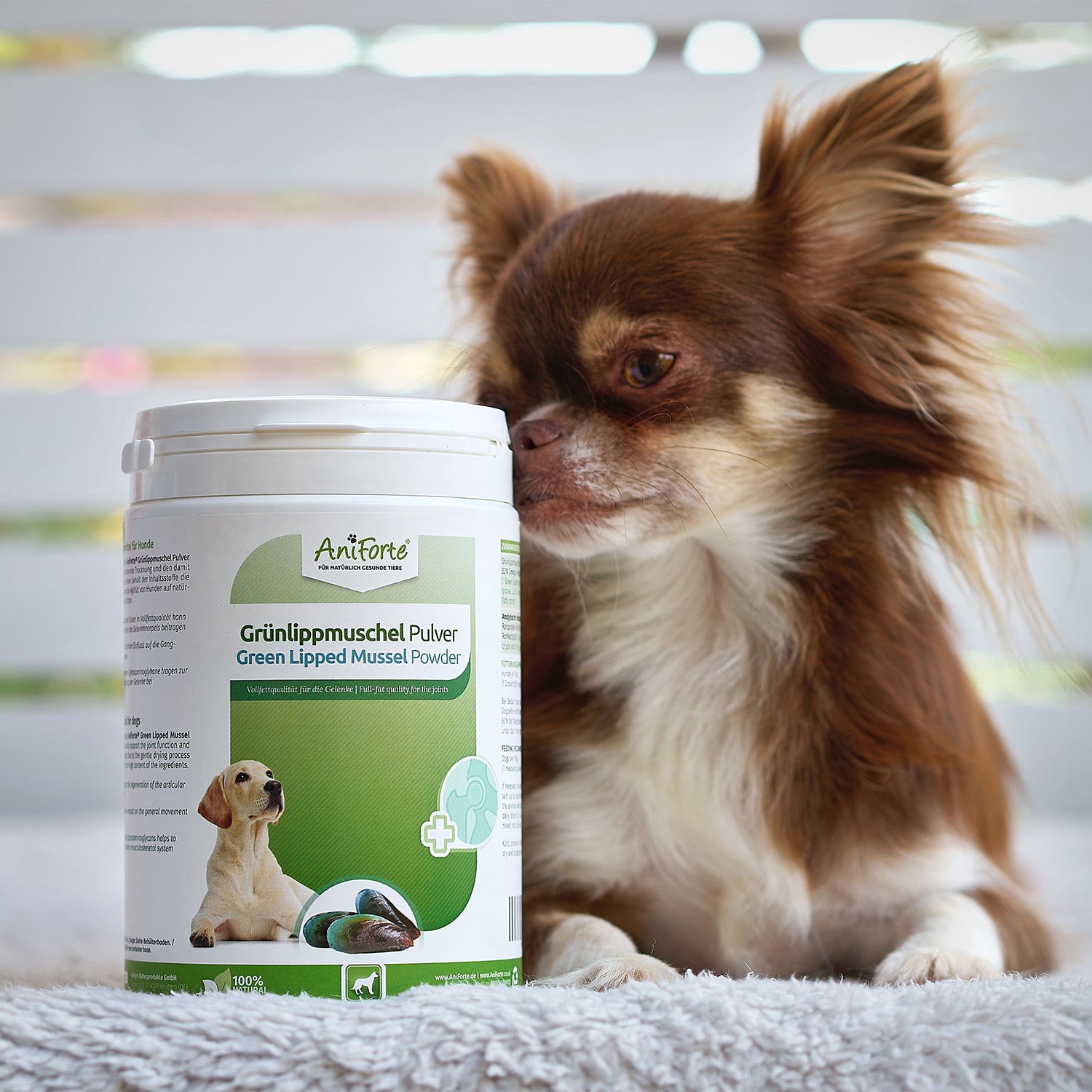 AniForte Grünlippmuschel Pulver 500g