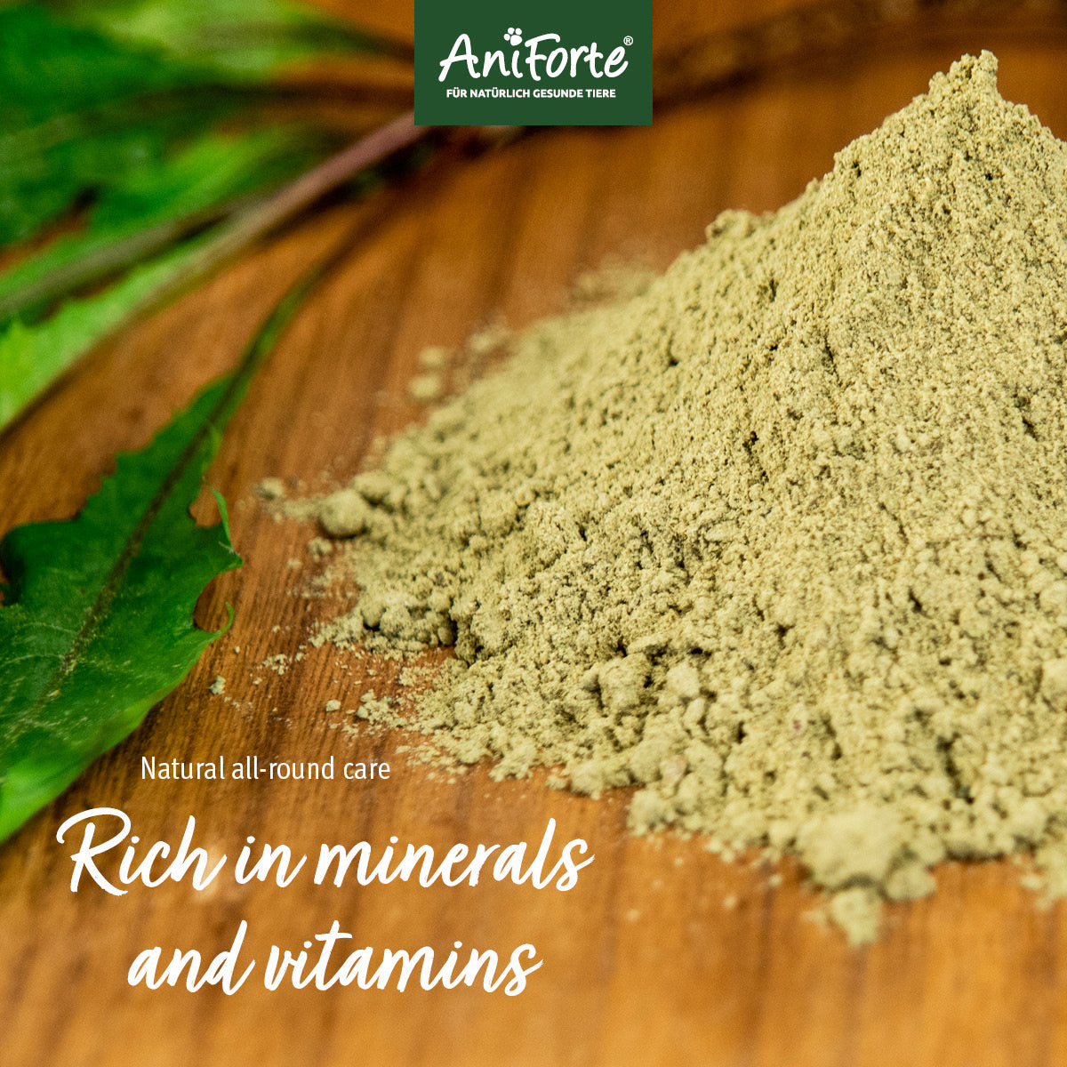 AniForte BARF Complete 1Kg