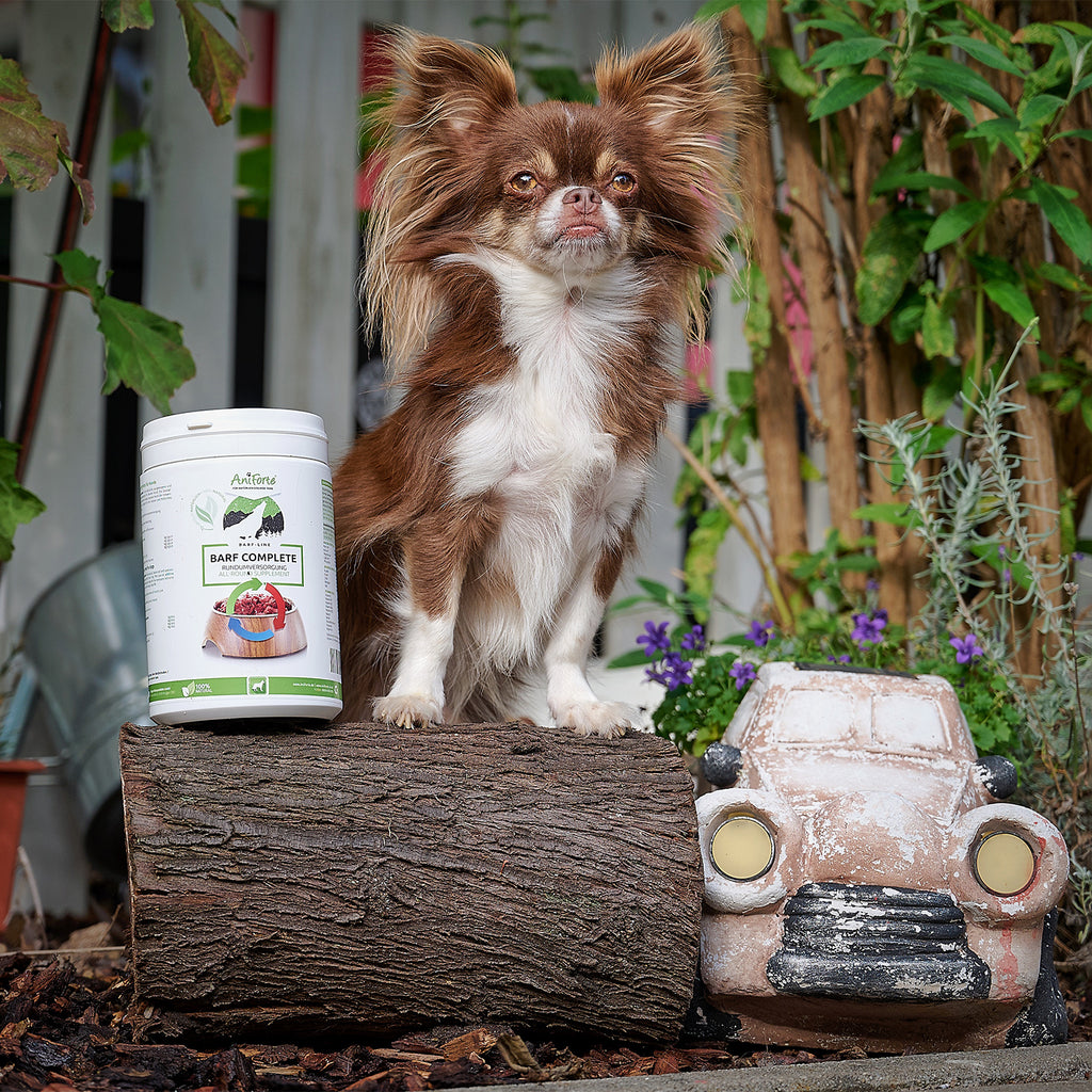 AniForte BARF Complete 500g
