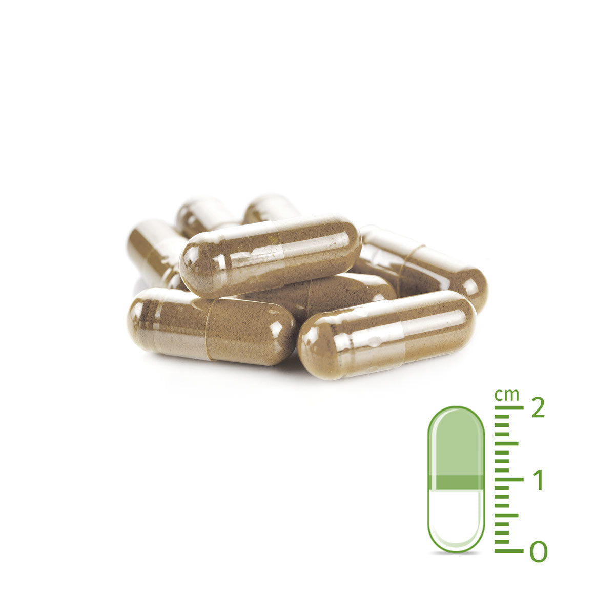 AniForteZeckenSchild Kapseln für mittelgroße Hunde von 10 - 35 kg 60Stk