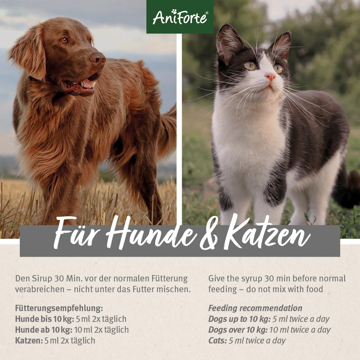 33181AFU – Bild 3