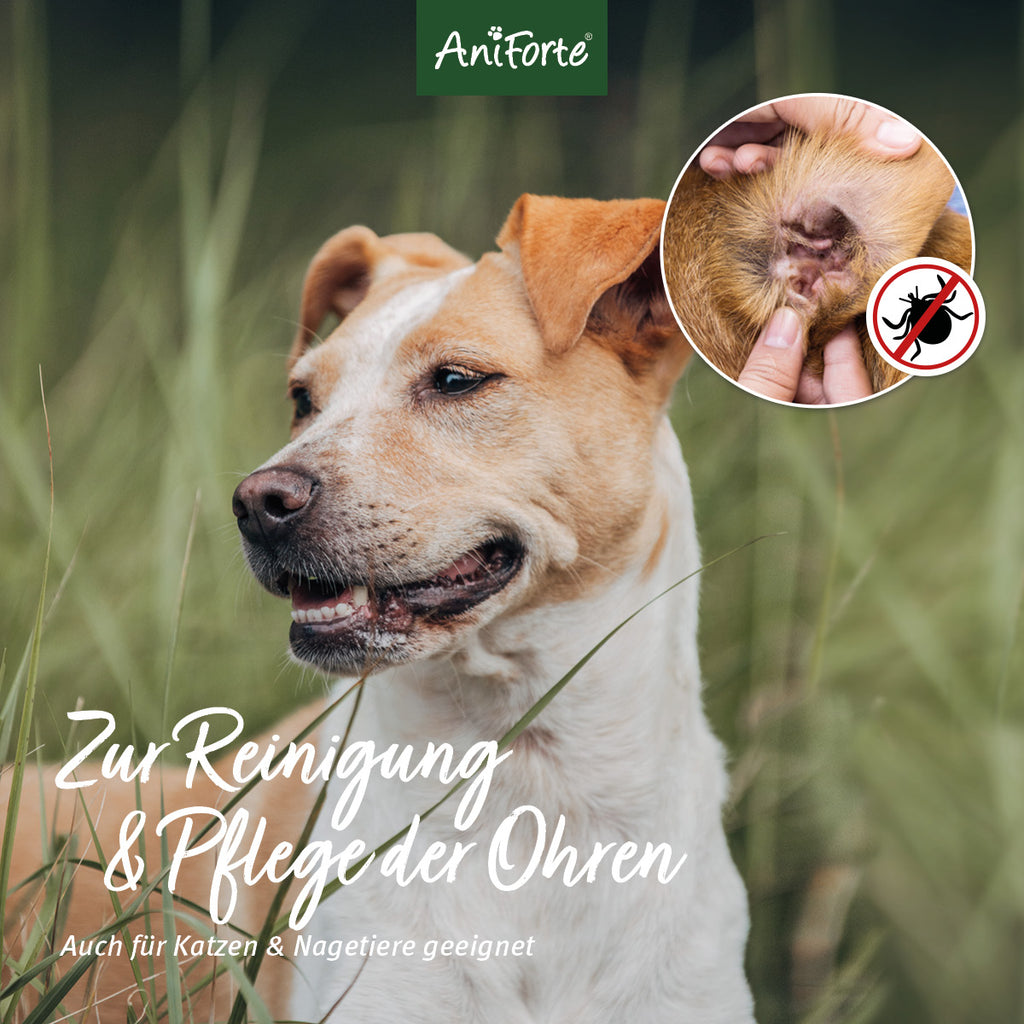 AniForte Ohrmilben Öl 50ml