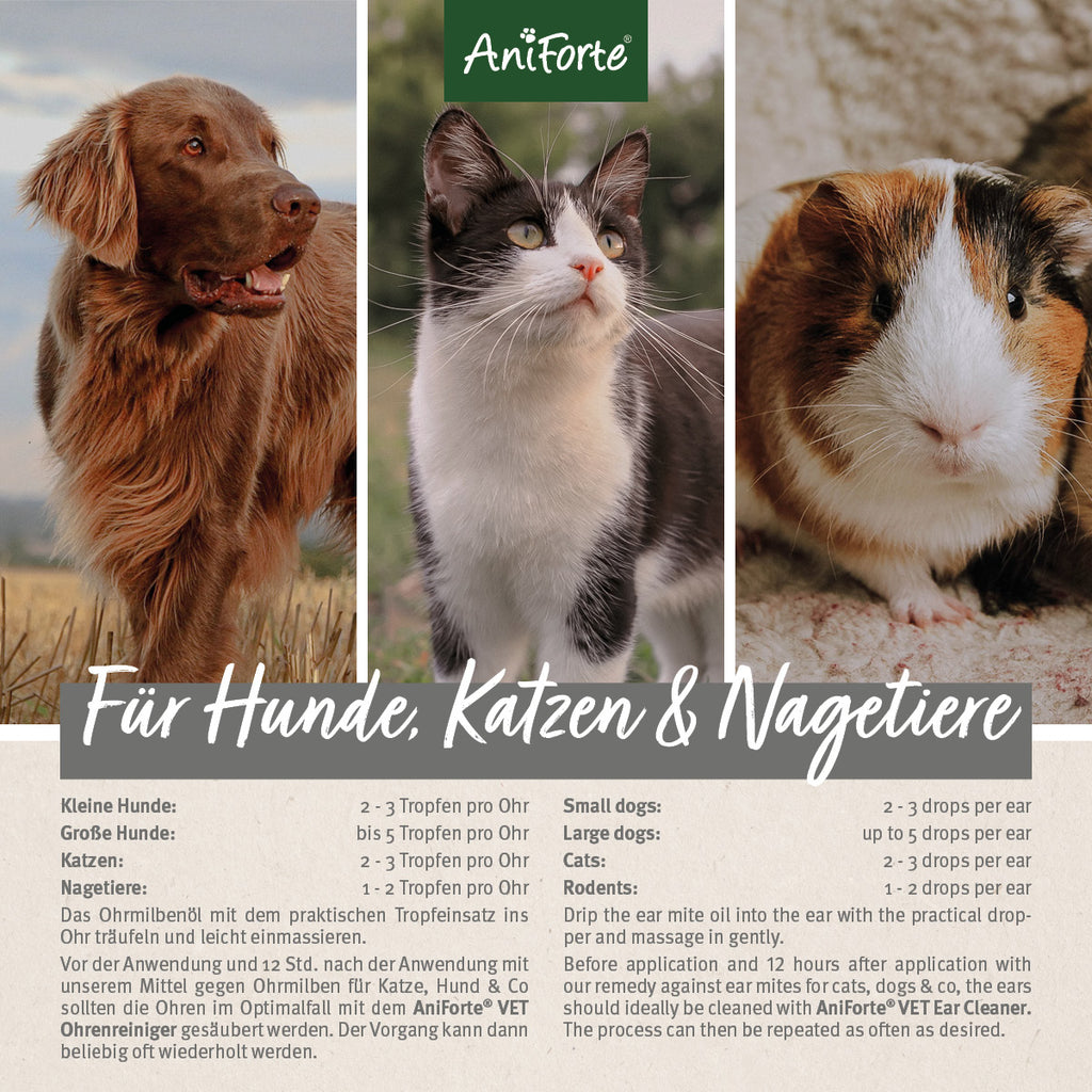 33183AFO – Bild 3