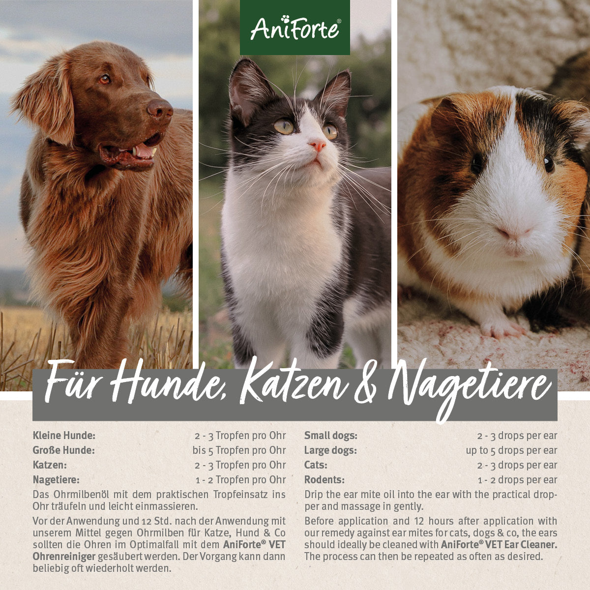 33183AFO – Bild 3