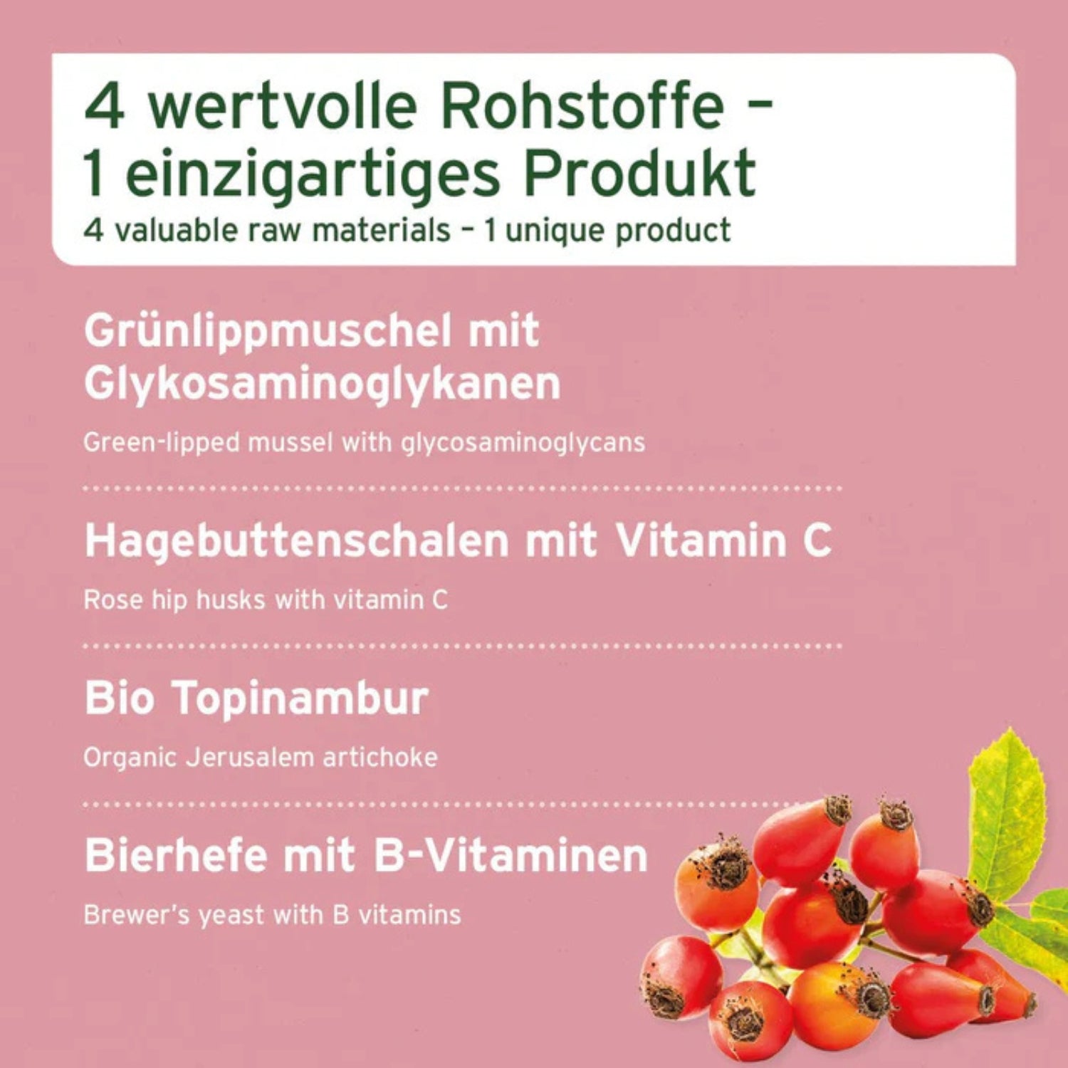 AniForte 4 in 1 Complete Dog 250g