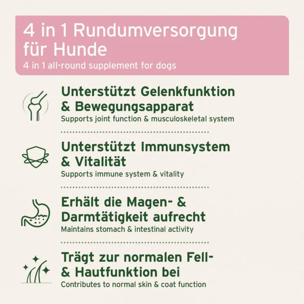33184AFC – Bild 2