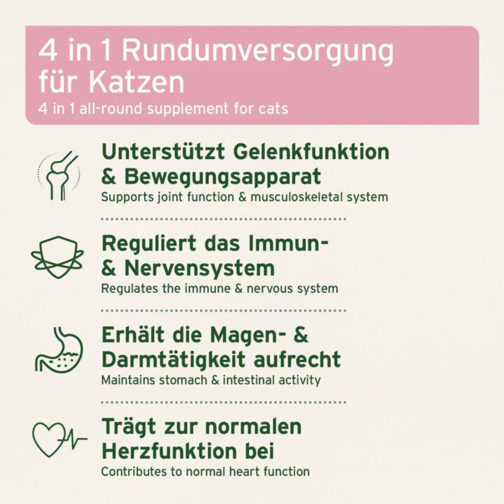 AniForte 4 in 1 Complete Cat 60g