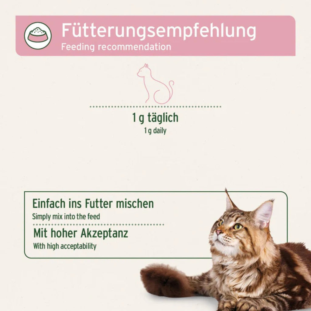 33185AFC – Bild 3