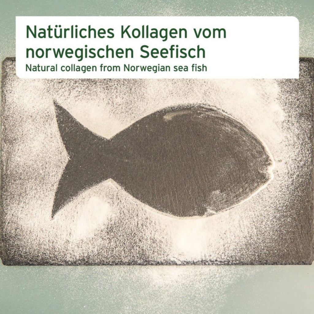 33195ANC – Bild 2