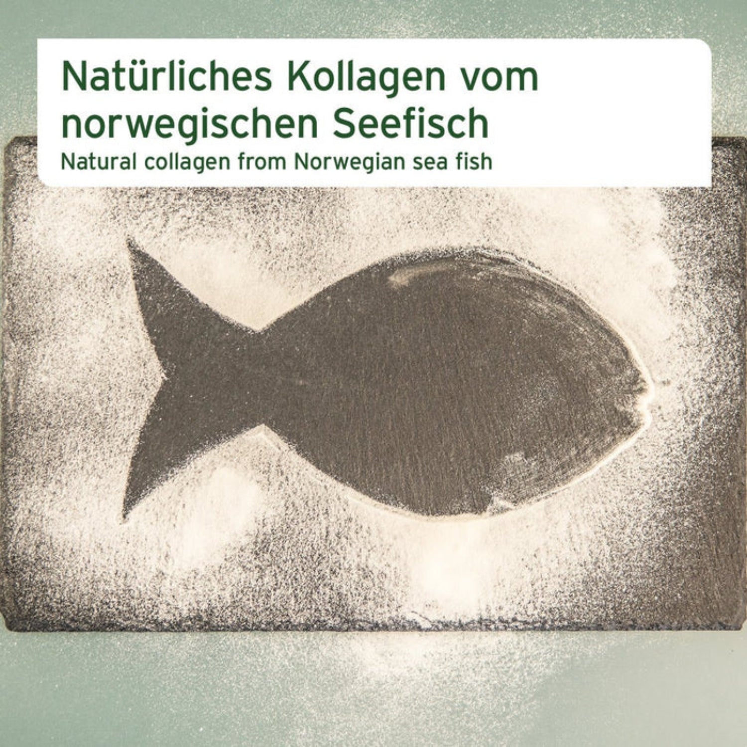 33195ANC – Bild 2