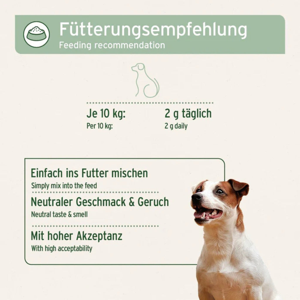 33195ANC – Bild 3